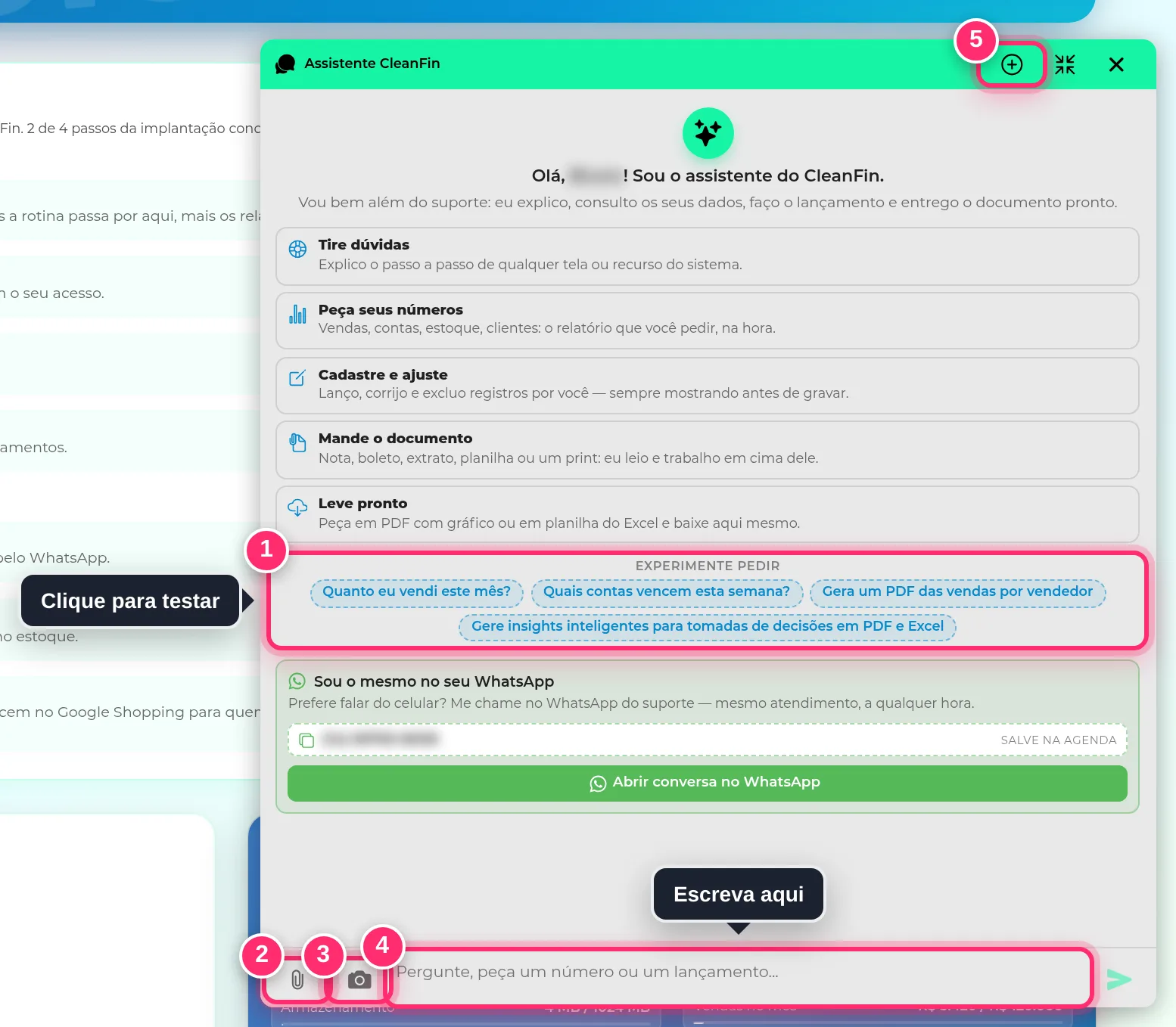 Painel do Assistente CleanFin aberto, com o que ele faz, as sugestões de pedido, o clipe, a câmera, o campo para escrever e o botão de nova conversa