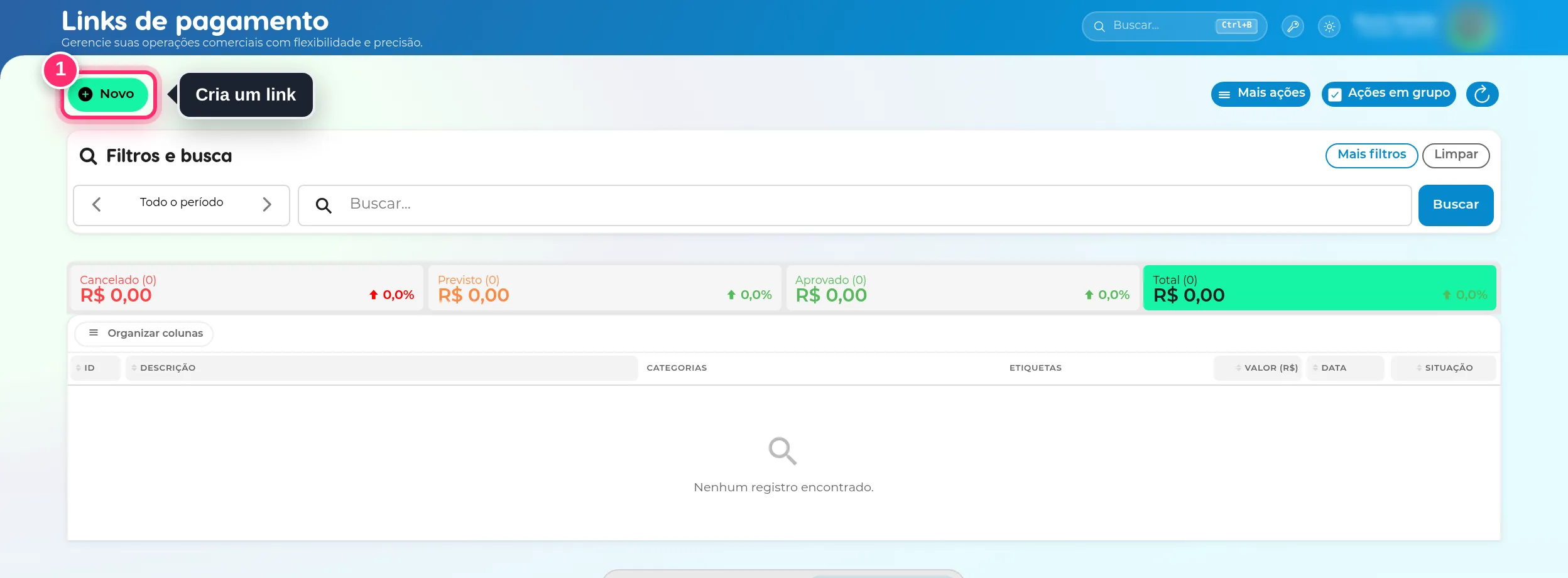 Lista de links de pagamento, ainda vazia, com o botão Novo destacado